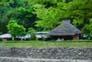 緑の森林に囲まれた陽目の里名水茶屋の写真